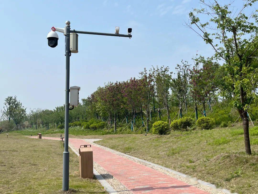 连云港市首家AI识别生物多样性观测站点建成 未来将打造生物多样性科普泛亚电竞基地(图3)