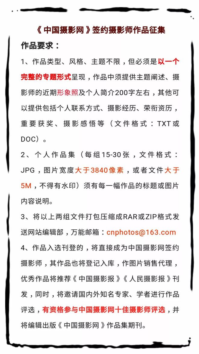 中国摄影网签约摄影师罗杨作品赏析——《南沙大桥成长记泛亚电竞(图1)