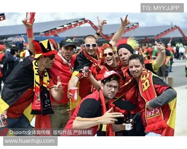 丹麦与爱尔兰激战成和比分揭晓赛事精彩回顾